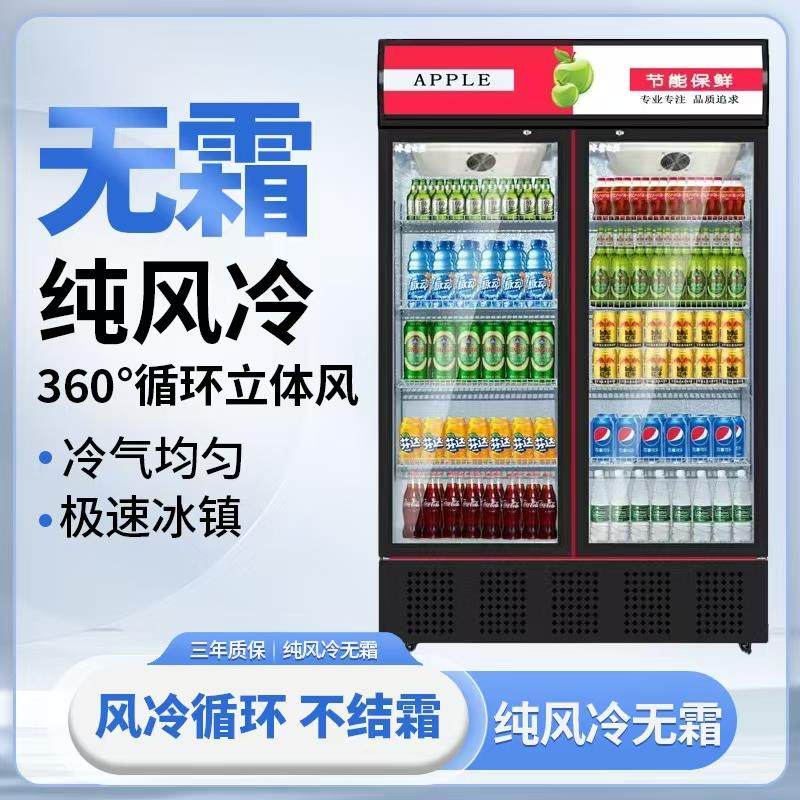 冰霜冷藏展示柜单门饮料柜双开门冰柜冰箱超市啤酒保鲜柜立式