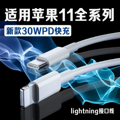 适用苹果11系列30WPD快充数据线