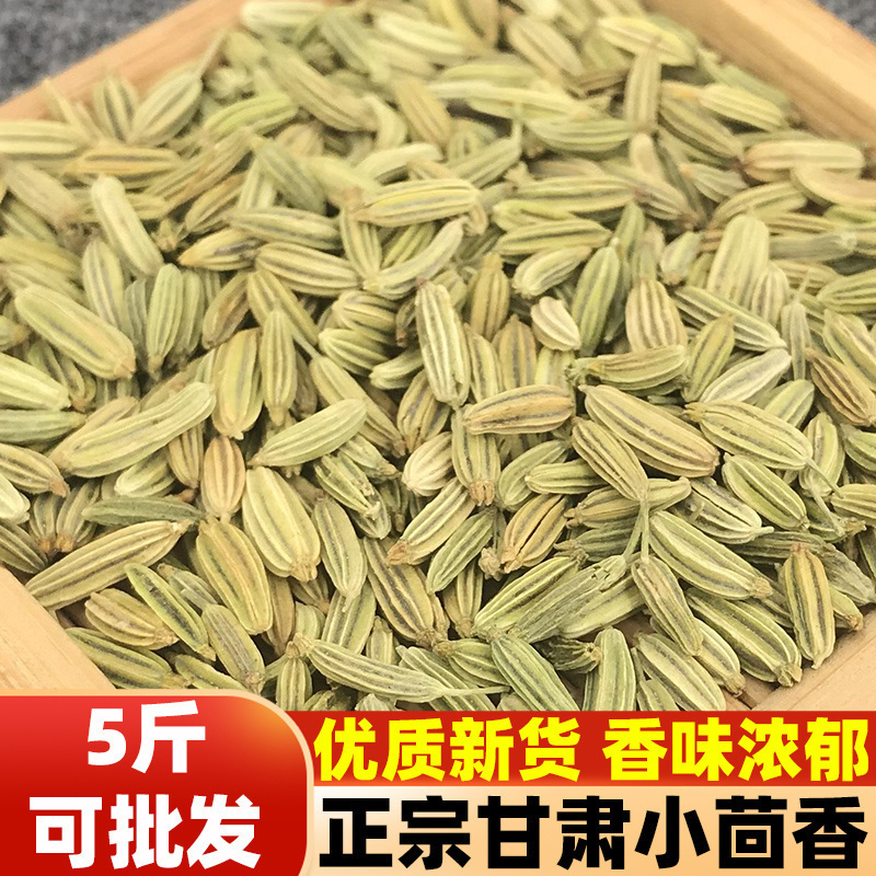 优质新货小茴香香料调料