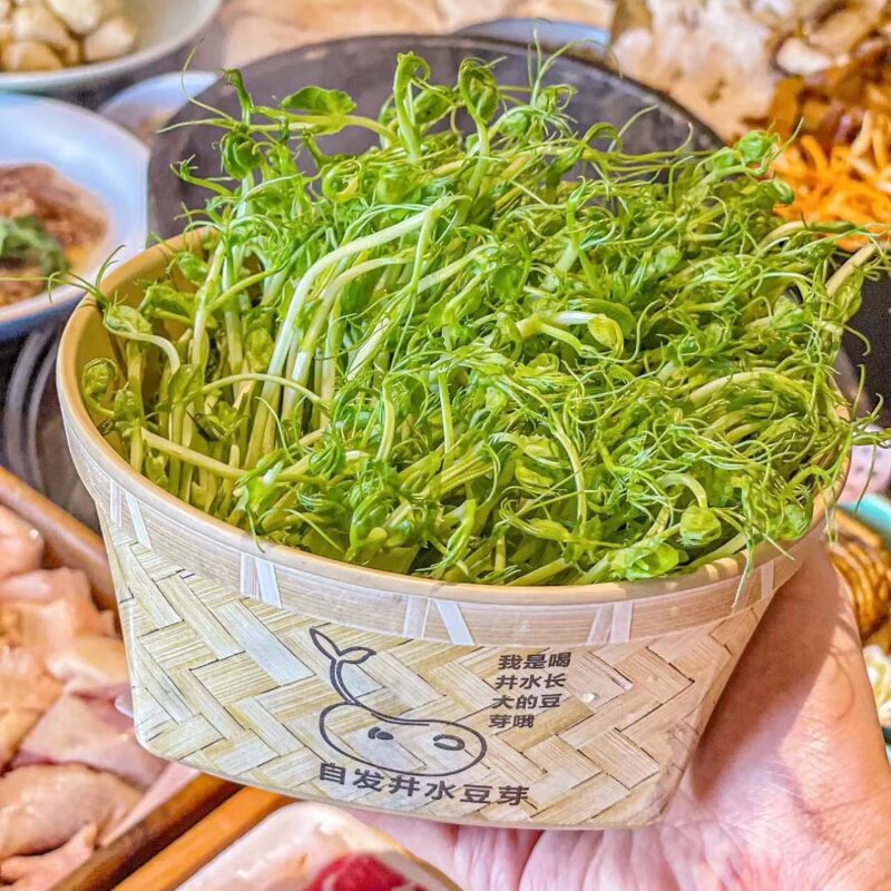 蘑菌同款餐具竹木纹四方活体菌类井水豆芽盒子特色火锅创意密胺盘