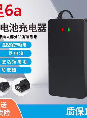 锂电池48v60v72v79.8v71.4v58.8三元铁锂充满自停6A大功率充电器