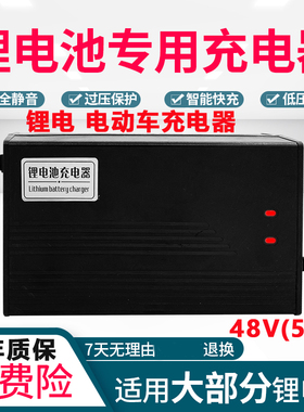 16串48V伏电动车电瓶磷酸铁锂电池充电器58.4V58.8V3A54.6V8a10安