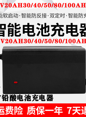 24伏电池动车铅酸蓄电瓶车充电器12V12AH20A56安玩具车轮椅碰碰车