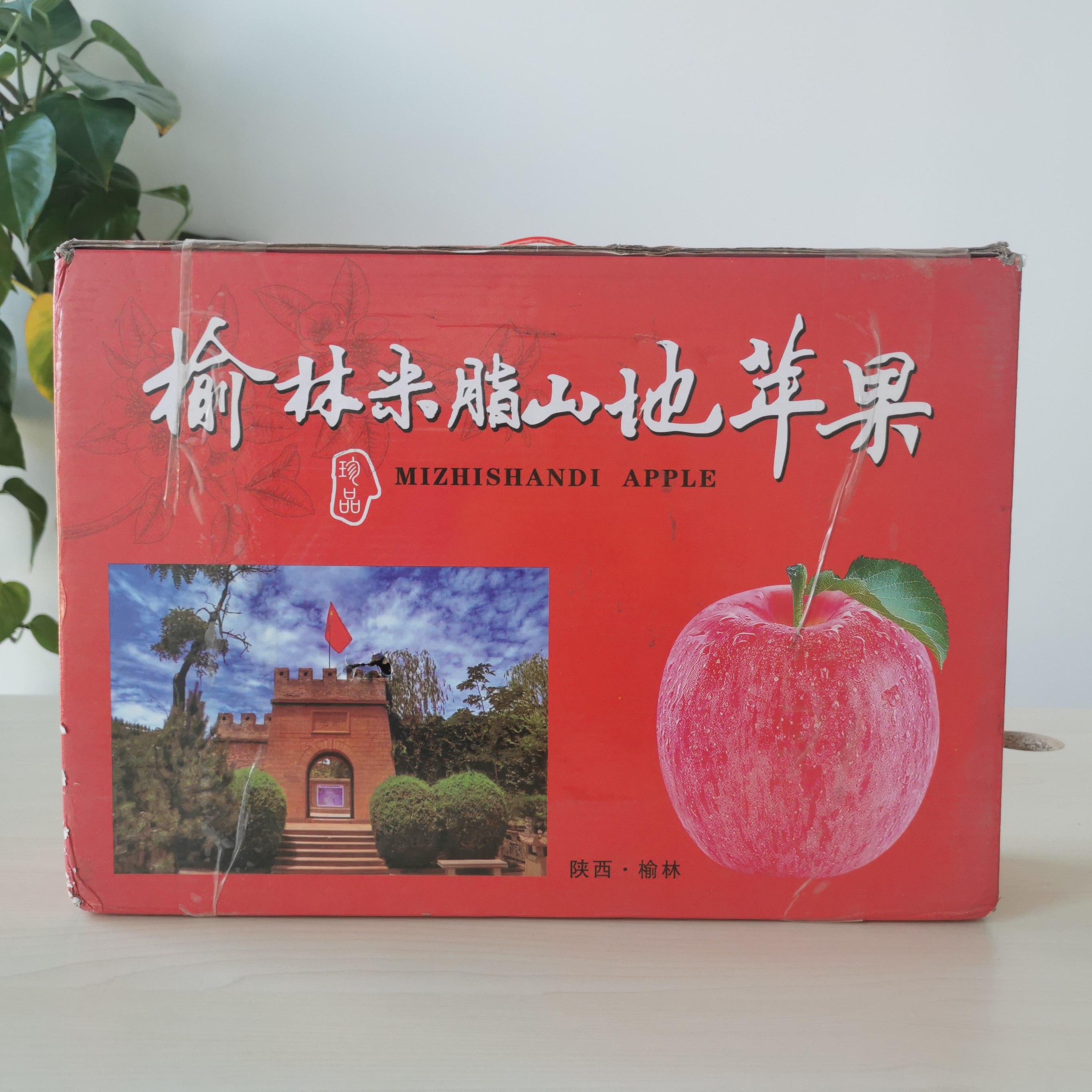 陕西特产榆林米脂县山地苹果