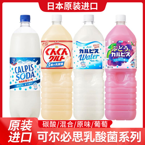 日本进口可尔必思乳酸菌大瓶1.5L