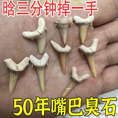 【断货王】去牙石热销