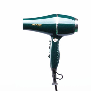 风神 吹风机发廊专用家用小型电吹风机负离子大功率冷热风筒2400W