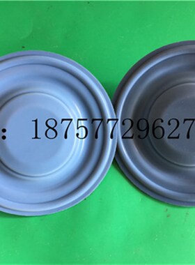 计量泵膜片DM4C3PB DM4C3FB 隔膜片DM4/DM5