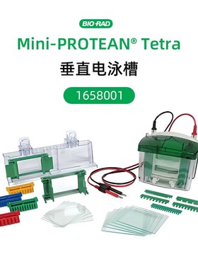 美国物理孔电泳仪电源1645050垂直电泳槽1658001旋转膜1658033