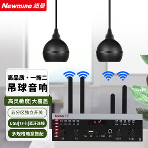纽曼D20无线吊球音响商场酒吧悬挂式吊顶音箱天花挂蓝牙背景音乐