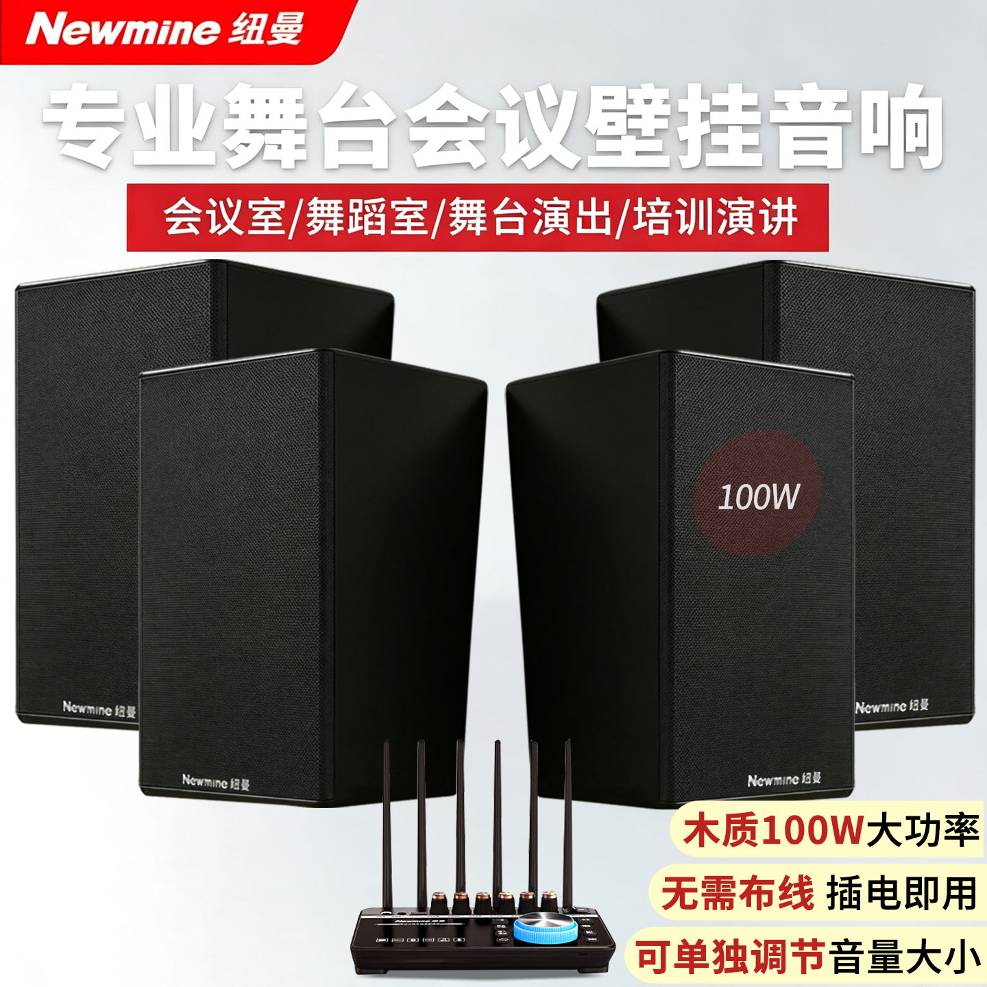 纽曼S9壁挂音箱响重低音酒吧健身房舞蹈会议室无线响店铺专用商用