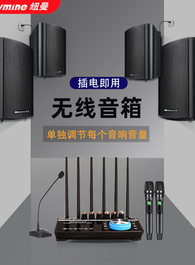 纽曼无线壁挂音响店铺专用重低音