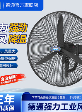 德通工业强力电风扇挂墙式壁扇可摇头大功率调速牛角扇DF650-TW