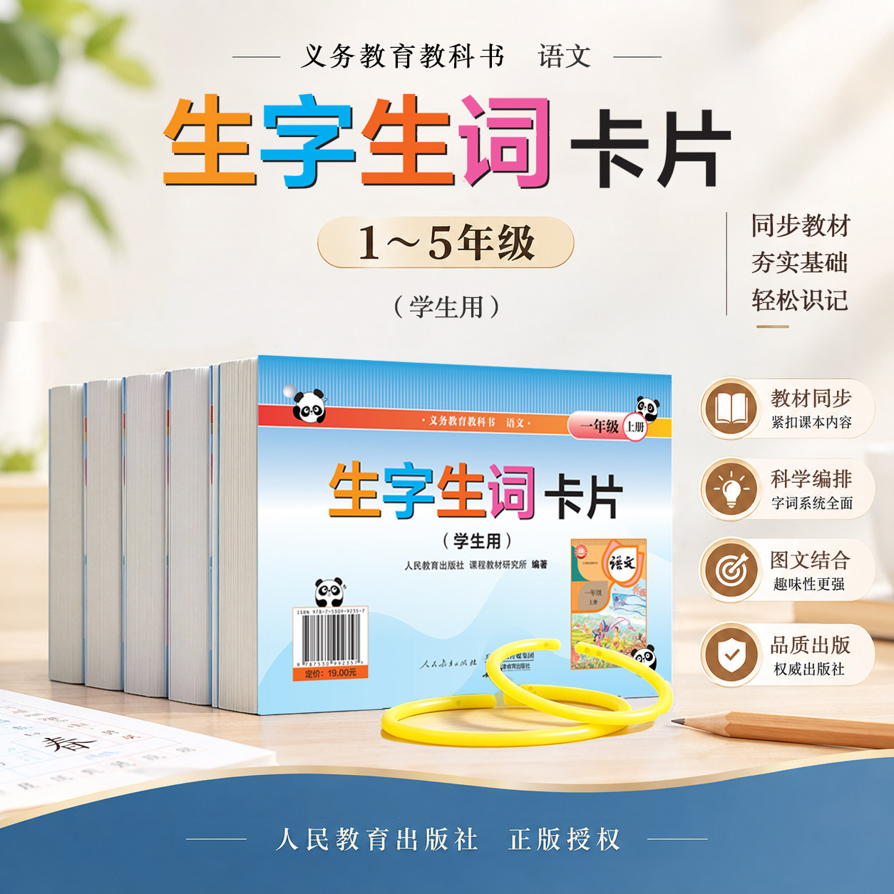 生字生词卡片(学生用)