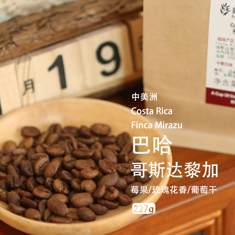 巴哈音乐家系列巴赫哥斯达黎加葡萄干处理法摩卡壶法压手冲咖啡豆