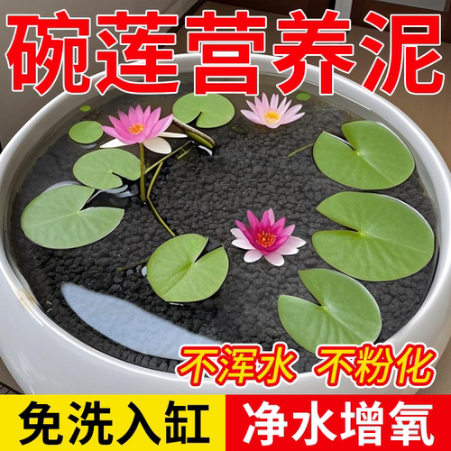 碗莲水草泥睡莲土水培泥高肥力不臭水浑水荷塘泥水培铜钱草陶粒泥