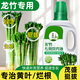 龙竹营养液文昌竹专用肥治叶子发黄水培植物生根水溶液体肥富贵竹