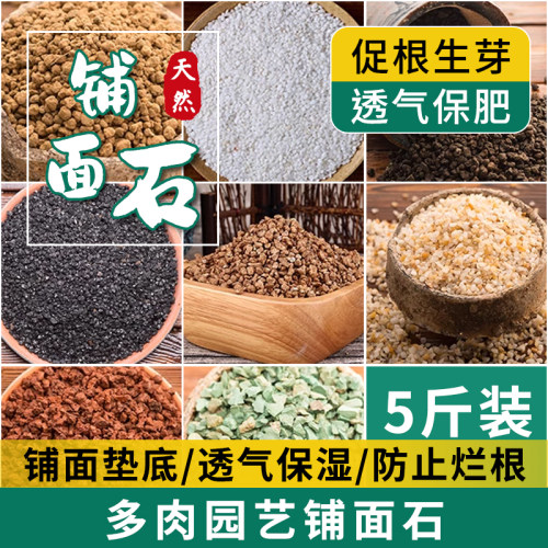 铺面石多肉专用营养土颗粒