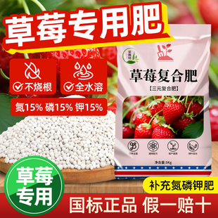 草莓专用肥复合肥有机肥料家用盆栽绿植补充氮磷钾肥三元复合肥料