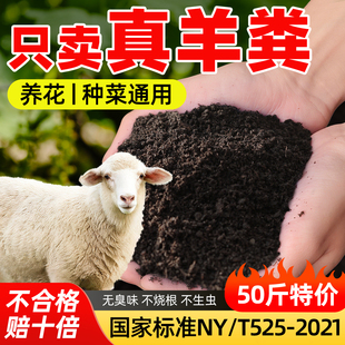 羊粪发酵有机肥料内蒙古腐熟有机肥瓜果蔬菜盆栽专用羊屎粪蛋批发