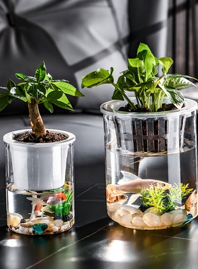 水培植物花盆水养绿萝花瓶花盆大号透明塑料圆球桌面鱼缸器皿容器