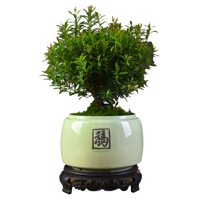 赤楠客厅书房办公室接待前台