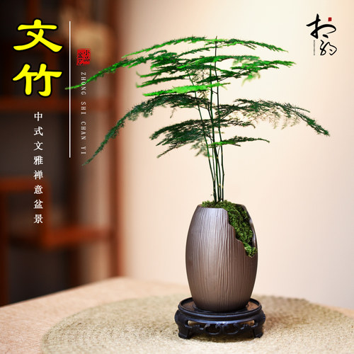 文竹书房客厅办公室茶几桌面