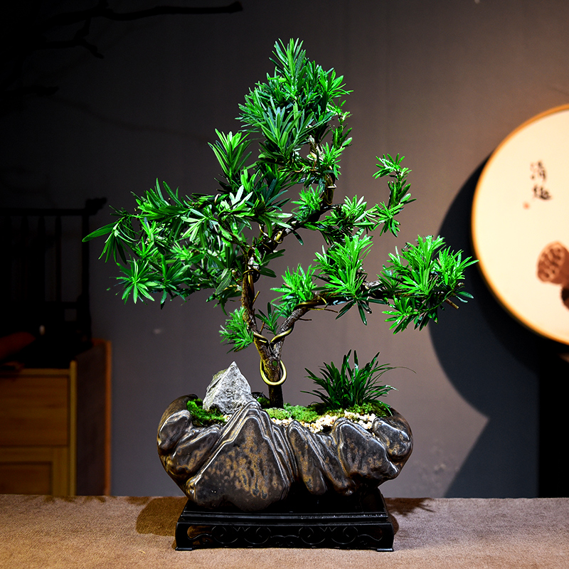 罗汉松书房客厅办公室茶几桌面