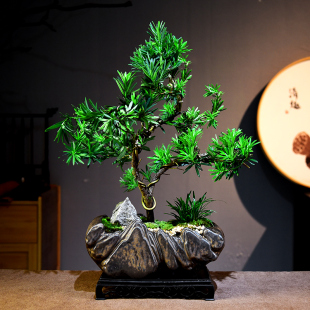 罗汉松盆景室内老桩造型树迎客松中式盆栽绿植茶室办公好养送礼