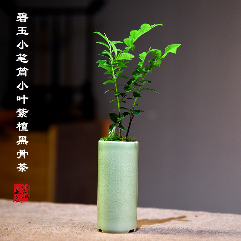 紫檀黑骨茶客厅办公室书房