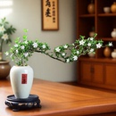 造型六月雪盆景飄枝懸崖室內小盆栽植物辦公茶室桌面觀賞擺件好養