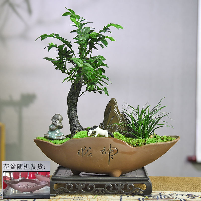 紫檀黑骨茶办公室客厅茶几桌面