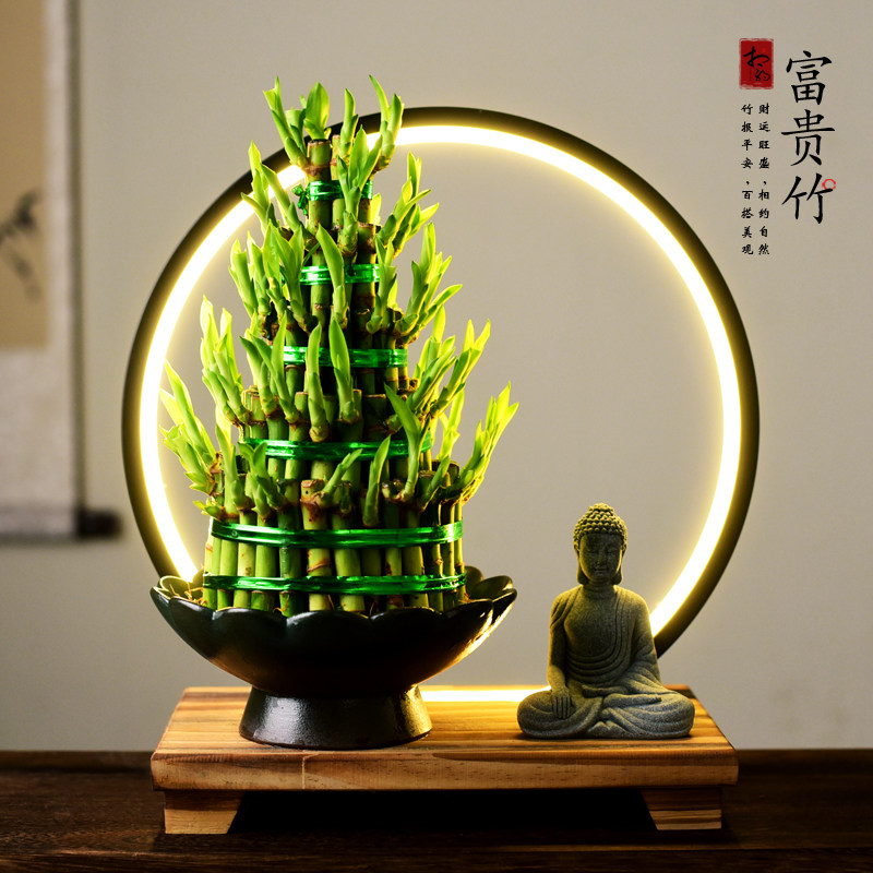节节高富贵竹水培室内盆栽植物竹塔转运竹办公室客厅开业乔迁送礼