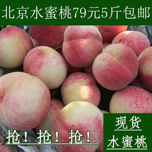 北京水蜜桃水果新鲜晚水蜜桃软桃多汁平谷大桃现摘撕皮吃5斤包邮