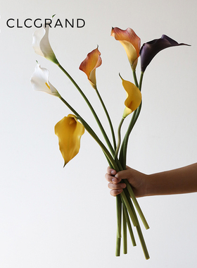 黑色马蹄莲仿真花高级感逼真室内装饰假品花插花花束客厅餐桌花艺