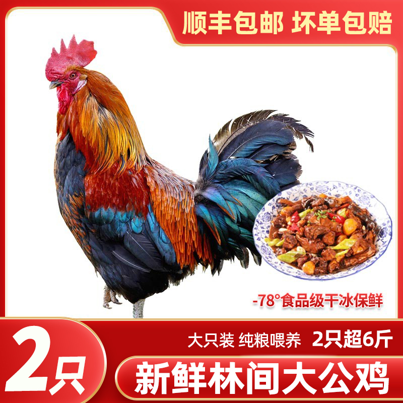 2只特大新鲜大公鸡包邮