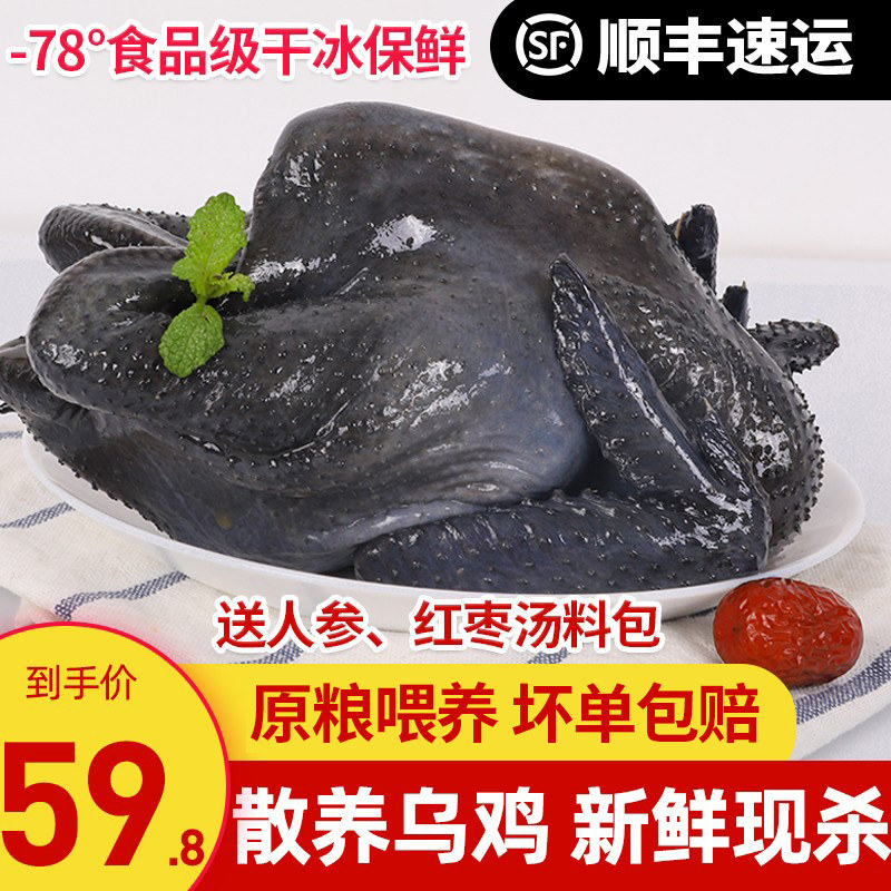 乌骨鸡新鲜现杀土鸡农家散养乌鸡活鸡生鲜冷冻老母鸡整只非活苗_虎窝淘