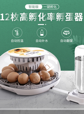 迷你全自动孵蛋器家用小型鸡鸭鹅蛋孵化器自动加水芦丁鸡孵化机