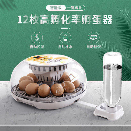 迷你全自动孵蛋器家用小型鸡鸭鹅蛋孵化器自动加水芦丁鸡孵化机