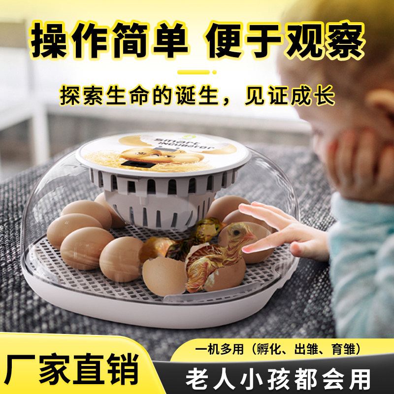 HHD全自动孵化机家用型鸡鸭鸟类孵化器小型自动补水自动翻蛋,五金/工具,电热工具,淘宝优惠券,粉丝福利购,淘宝优惠卷