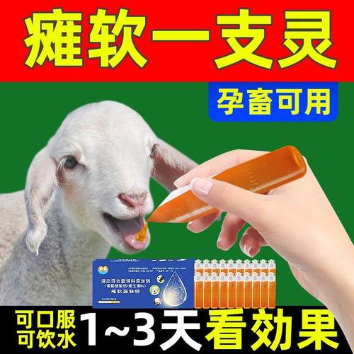 兽用羔羊用瘫软站起药一支灵