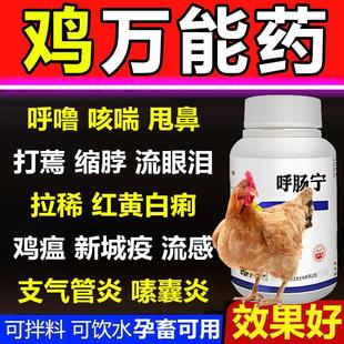 鸡病全治养鸡专用鸡瘟咳嗽呼噜禽流感呼吸道感染拉稀白痢张口呼吸