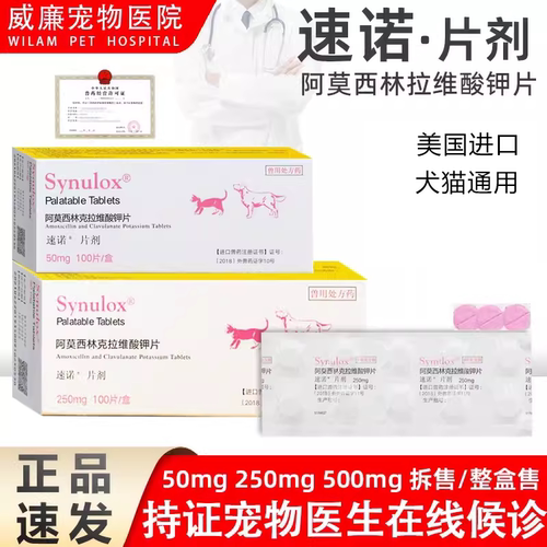 临期2026.6-10月进口辉瑞硕腾速诺消炎感冒药狗猫咪阿莫西林50mg
