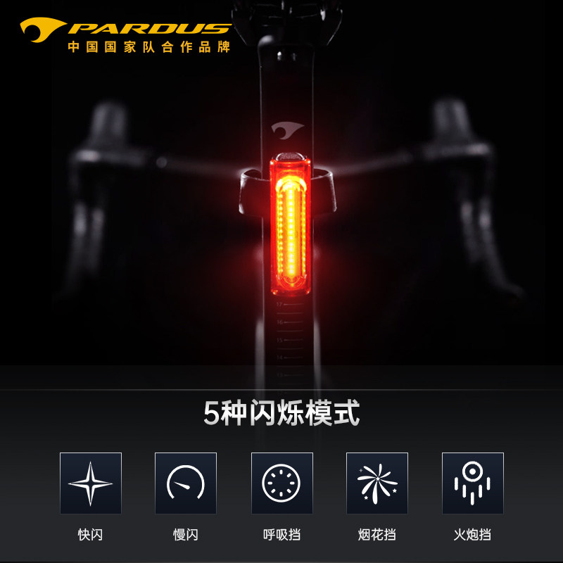 PARDUS瑞豹自行车尾灯智能感应夜骑公路山地车车灯充电骑行配件