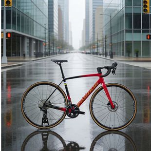 7120 105  八天川藏系列城市公路自行车 SPORT 瑞豹SUPER