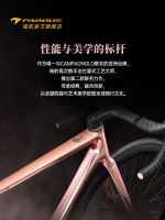 PARDUS ROBIN RS-CHORUS Campagnolo Co-branded Honor Pink Road Bike thumbnail 4