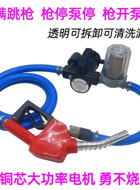 抽油泵电动柴油12v24v220v伏油抽子加油神器抽油机大功率正反自停