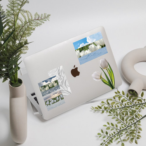 郁金香纯洁高贵不贵不失优雅