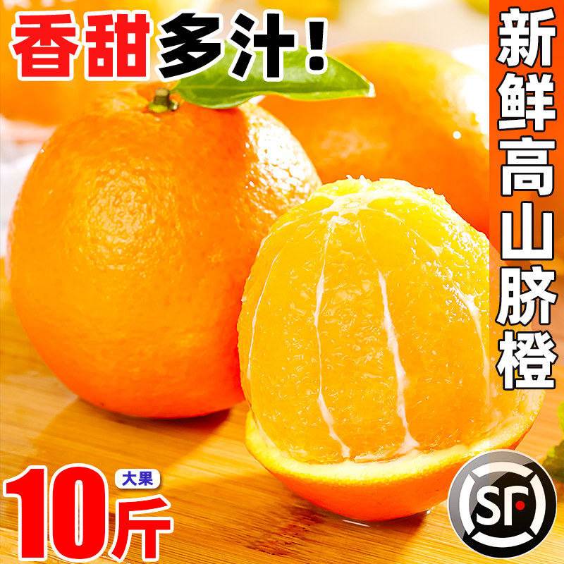 江西赣南DE脐橙10斤橙子装新鲜大果应当季水果冰糖甜橙正宗5包邮