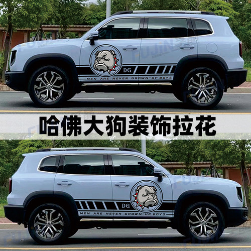哈弗大狗改装车贴个性拉花